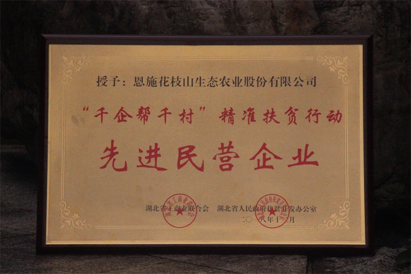5-千企幫千村先進企業.jpg
