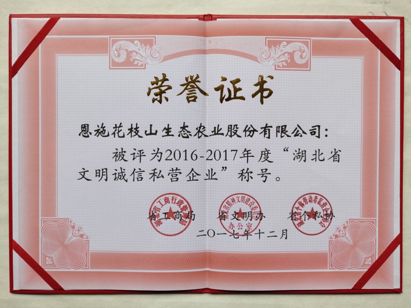 2.1湖北省文明誠信私營企業.jpg